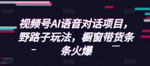 视频号AI语音对话项目,野路子玩法,橱窗带货条条火爆-任任的小木屋 - 热点知汇