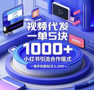 视频代发,一单5块,小红书引流合作模式,一部手机轻松日入多张-任任的小木屋 - 热点知汇