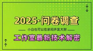 2025问卷调查最新工作室技术解密：一个人在家也可以闷声发大财，小白一天2张，可矩阵放大-任任的小木屋 - 热点知汇