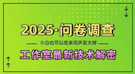 2025问卷调查最新工作室技术解密：一个人在家也可以闷声发大财，小白一天2张，可矩阵放大-任任的小木屋 - 热点知汇