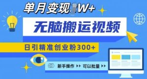 无脑搬运视频号可批量复制，新手即可操作，日引精准创业粉300+，月变现过W -任任的小木屋 - 热点知汇