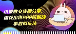 小说推文实操分享，蛋花小说APP拉新故事混剪玩法-任任的小木屋 - 热点知汇