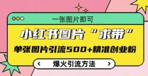 小红书图片‘求带’爆火引流法,单张图片引流500+精准创业粉-任任的小木屋 - 热点知汇