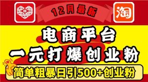 12月最新:电商平台1元打爆创业粉,简单粗暴日引500+精准创业粉,轻松月入过W-任任的小木屋 - 热点知汇