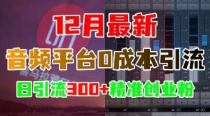 12月最新:音频平台0成本引流,日引流300+精准创业粉-任任的小木屋 - 热点知汇