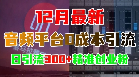12月最新:音频平台0成本引流,日引流300+精准创业粉-任任的小木屋 - 热点知汇