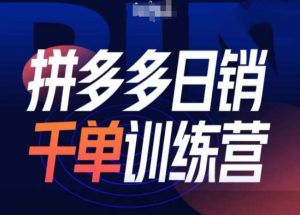 拼多多日销千单训练营第31期-微付费带免费流玩法-任任的小木屋 - 热点知汇