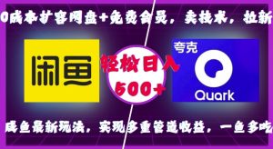 0成本扩容网盘+免费会员，卖技术，拉新，咸鱼最新玩法，实现多重管道收益，一鱼多吃，轻松日入500+-任任的小木屋 - 热点知汇