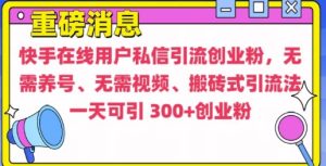 快手最新引流创业粉方法,无需养号、无需视频、搬砖式引流法-任任的小木屋 - 热点知汇