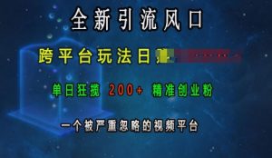 全新引流风口,跨平台玩法日入上k,单日狂揽200+精准创业粉,一个被严重忽略的视频平台-任任的小木屋 - 热点知汇