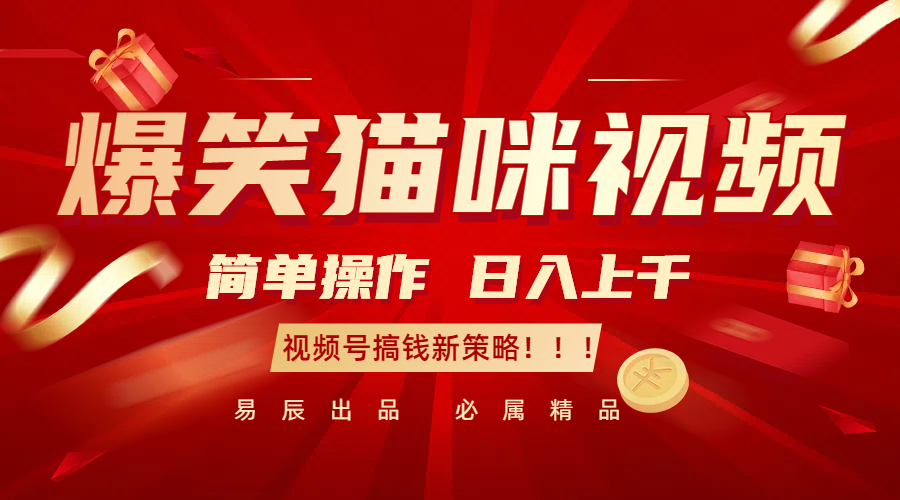 爆笑猫咪视频：简单操作，日入过千，视频号搞钱新策略！-任任的小木屋 - 热点知汇