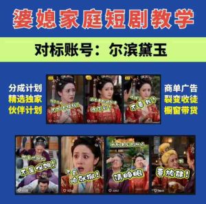 婆媳家庭AI短剧全套教学丨起号快,热门吸引女性粉丝,商单广告、橱窗带货、收徒裂变、伙伴分成等-任任的小木屋 - 热点知汇