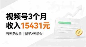 视频号3个月收入15431，当天见收益，新手2天学会！【揭秘】-任任的小木屋 - 热点知汇