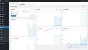 WordPress 数据库缓存插件 Redis Object Cache Pro v1.25.6 破解版下载-任任的小木屋 - 热点知汇