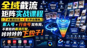 全域截流矩阵实战课程｜7大截流玩法+6大平台落地，素人号+行业号双布局，不要脸的截流打粉，咔咔咔的下钩子！-任任的小木屋 - 热点知汇