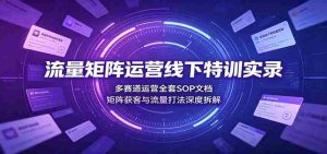 流量矩阵运营线下特训实录：多赛道运营全套SOP文档，矩阵获客与流量打法深度拆解-任任的小木屋 - 热点知汇