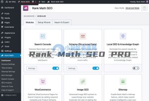 WordPress SEO插件–Rank Math Pro v3.0.116 破解版下载-任任的小木屋 - 热点知汇