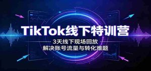 TikTok线下特训营:3天线下现场回放,解决账号流量与转化难题-任任的小木屋 - 热点知汇