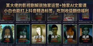 某大佬的影视剧解说独家运营+独家AI文案课,小白0粉丝也能快速打上抖音精选标签、吃到收益翻倍福利-任任的小木屋 - 热点知汇
