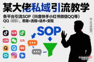 某大佬私域引流教学，各平台引流SOP（抖音快手小红书微信QQ等），思路+流程+话术+变现（更新0708）-任任的小木屋 - 热点知汇