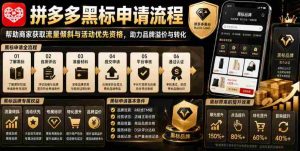 拼多多黑标申请流程，帮助商家获取流量倾斜与活动优先资格，助力品牌溢价与转化-任任的小木屋 - 热点知汇