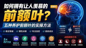 （19805期）付费文章：如何拥有让人羡慕的前额叶？五种养护前额叶的实操方法-任任的小木屋 - 热点知汇