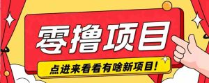 很简单的一个零撸项目，B站小红书发布二次元动漫风格视频，20个赞10元收益最高4000元-任任的小木屋 - 热点知汇