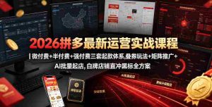 2026拼多多最新运营实战课程|微付费+半付费+强付费三套起款体系,叠券玩法+矩阵推广+AI批量起店,白牌店铺直冲黑标全方案-任任的小木屋 - 热点知汇