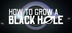 如何培育黑洞 /How To Grow a Black Hole Build.23931155 免安装中文版-任任的小木屋 - 热点知汇