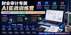财会审计专属AI实战训练营｜AI协同编程+Python审计工具箱+Excel VBA加载项落地-任任的小木屋 - 热点知汇