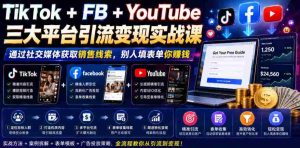 TikTok+FB+YouTube三大平台引流变现实战课，通过社交媒体获取销售线索，别人填表单你賺钱【原创双语字幕】-任任的小木屋 - 热点知汇