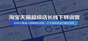 淘宝天猫超级店长线下特训营:DMP达摩盘人群精细化运营,21天超级单品打爆全流程-任任的小木屋 - 热点知汇
