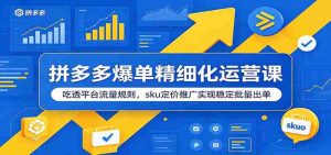 拼多多爆单精细化运营课：吃透平台流量规则，sku定价推广实现稳定批量出单-任任的小木屋 - 热点知汇