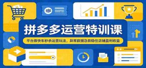 拼多多运营特训课：平台券快车秒杀运营玩法，异常数据急救稳住店铺盈利收益-任任的小木屋 - 热点知汇
