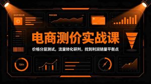 电商测价实战课:价格分层测试,流量转化研判,找到利润销量平衡点-任任的小木屋 - 热点知汇