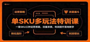 单SKU多玩法特训课：一套SKU三种运营思路，流量承接，利润提升落地教学-任任的小木屋 - 热点知汇