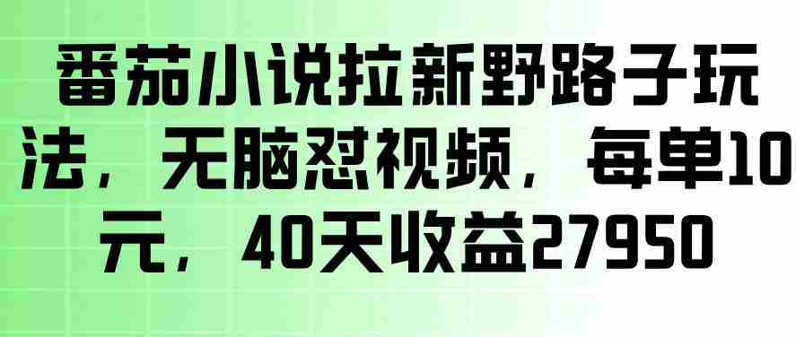 番茄小说拉新野路子玩法，无脑怼视频，玩法简单、见效快，每单10米，40天收益27950-任任的小木屋 - 热点知汇