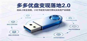 多多优盘变现落地2.0:选品上架全流程,小红书裂变与微付费玩法拓宽产品销路-任任的小木屋 - 热点知汇