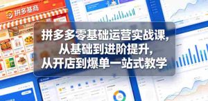 拼多多零基础运营实战课，从基础到进阶提升，从开店到爆单一站式教学-任任的小木屋 - 热点知汇