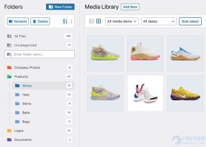 WordPress 媒体库文件夹管理插件–FileBird Pro v6.5.8 破解版免费下载-任任的小木屋 - 热点知汇