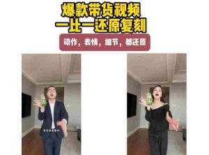 AI带货视频复刻,一比一还原加二创,动作,表情,细节,都还原,新手也能直接套用-任任的小木屋 - 热点知汇