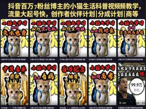 抖音百万粉丝博主的小猫生活科普视频教学,流量大起号快,创作者伙伴计划|分成计划|商单|收徒等-任任的小木屋 - 热点知汇