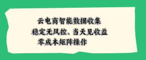 云电商智能数据收集，稳定无风控，当天做当天见收益，零成本矩阵操作【揭秘】-任任的小木屋 - 热点知汇