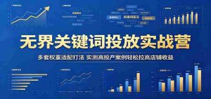 无界关键词投放实战营：多套权重适配打法，实测高投产案例轻松拉高店铺收益-任任的小木屋 - 热点知汇