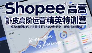Shopee虾皮高阶运营精英特训营,高阶运营技巧+流量提升+转化率优化,助你业绩翻倍(更新26年5月)-任任的小木屋 - 热点知汇
