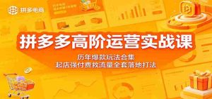 拼多多高阶运营实战课：历年爆款玩法合集，起店强付费救流量全套落地打法-任任的小木屋 - 热点知汇
