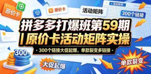拼多多打爆班第59期｜原价卡活动矩阵实操，300个链接大促起爆，单款裂变多链接-任任的小木屋 - 热点知汇