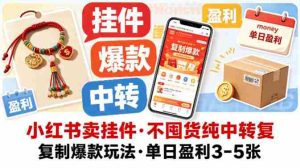 小红书卖挂件，不囤货纯中转复制爆款玩法，单日盈利3-5张-任任的小木屋 - 热点知汇