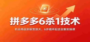 拼多多6杀1技术：机会商品到裂变放大，6步循环起店全案实操课-任任的小木屋 - 热点知汇