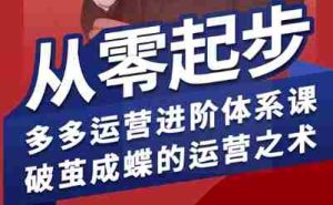 拼多多运营进阶系统课，从零起步，多多运营进阶体系课，破茧成蝶的运营之术（更新26年4月）-任任的小木屋 - 热点知汇